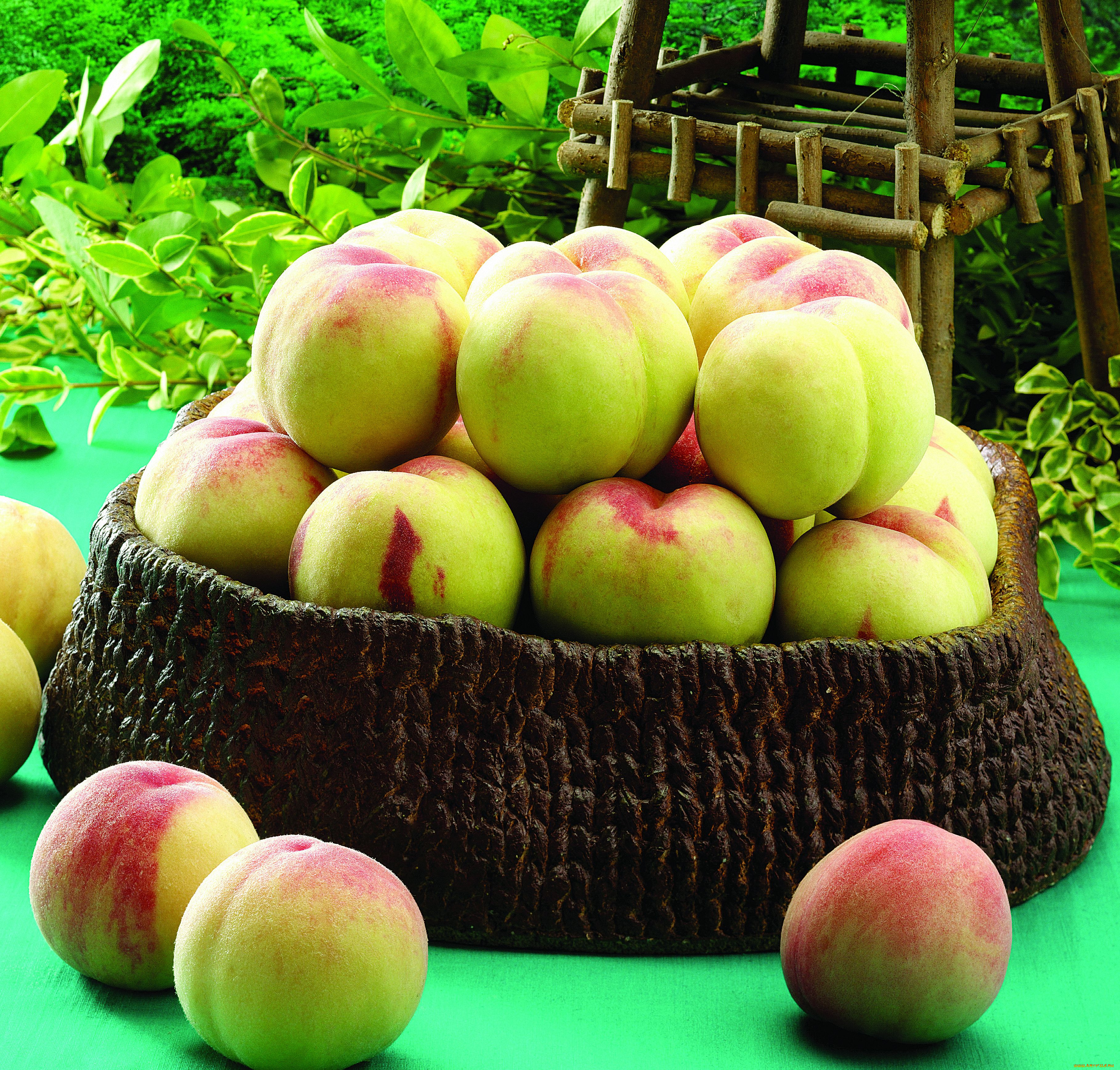 , , , , peaches